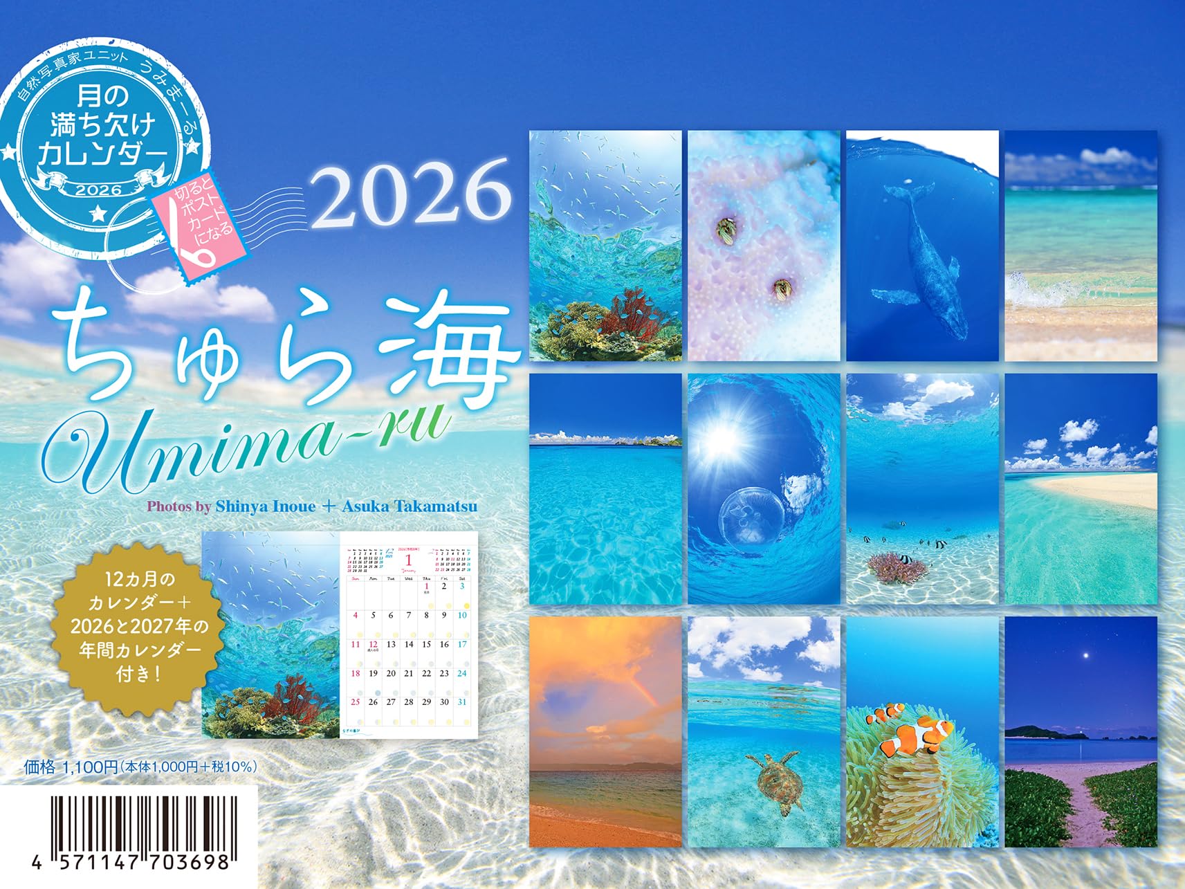 Amazon.co.jp: 2026うみまーる卓上ムーンカレンダー `ちゅら海